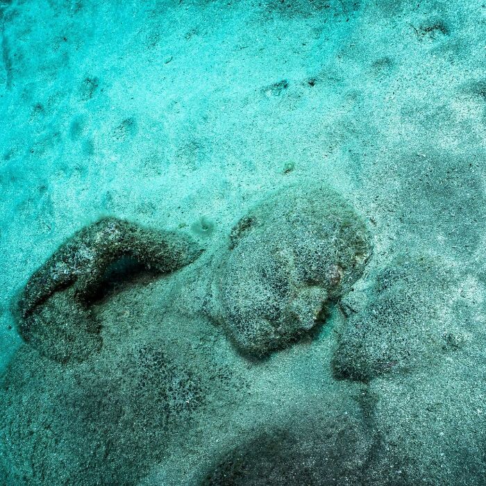 40 Unique Sculptures That Turn The Sea Floor Into A Living Art Gallery While Restoring Fragile Ecosystems