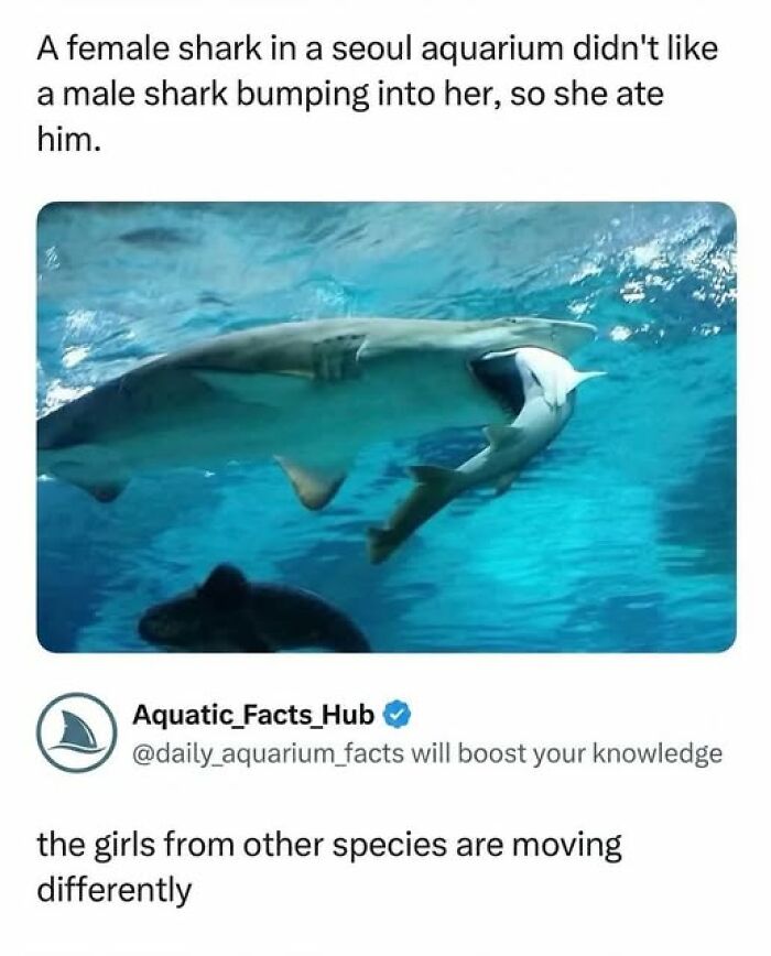 33 Funny Tweets For Those Who Don&rsquo;t Use X But Want A Good Laugh