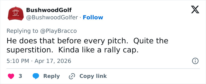 “How Low-Class”: Obscene Moment Of MLB Fan Caught On Camera At Pirates Game