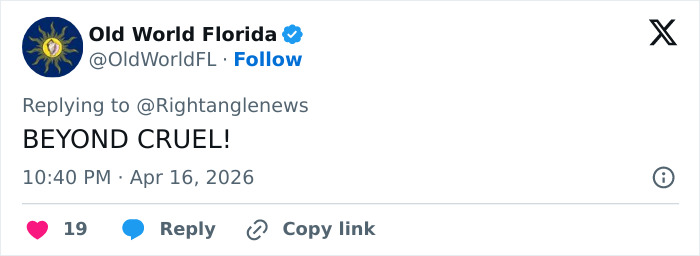 Gay Dad Breaks Silence After Fierce Backlash Over Video “Mocking” Surrogate Baby Crying For “Mama”