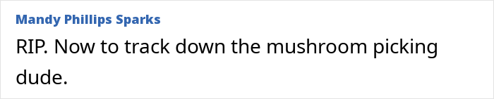 Remains Of Missing Mom Last Seen Picking Mushrooms Found By Hikers Over A Year After Disappearance