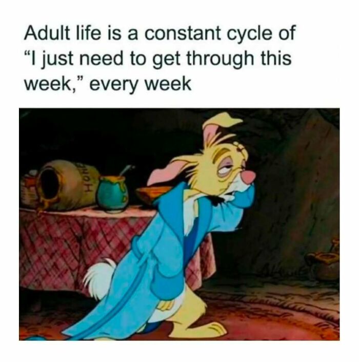 74 Hilariously Relatable Memes For Anyone Who Thought Adulthood Would Be Easier Than This (New Pics)