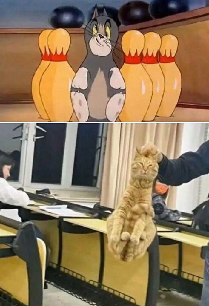 &ldquo;Hmmm&rdquo;: 77 Weird, Confusing, And Cursed Images You Probably Won&rsquo;t Be Able To Unsee (New Pics)