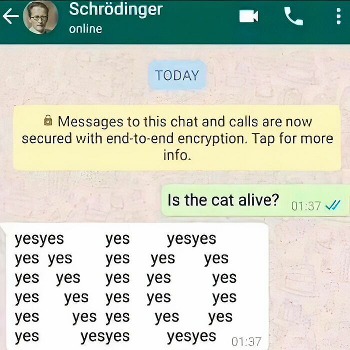 These 37 Memes Are One Of The Reasons Why People Pay For The Internet