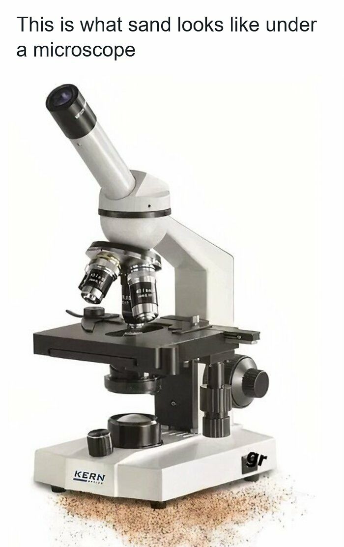 These 37 Memes Are One Of The Reasons Why People Pay For The Internet