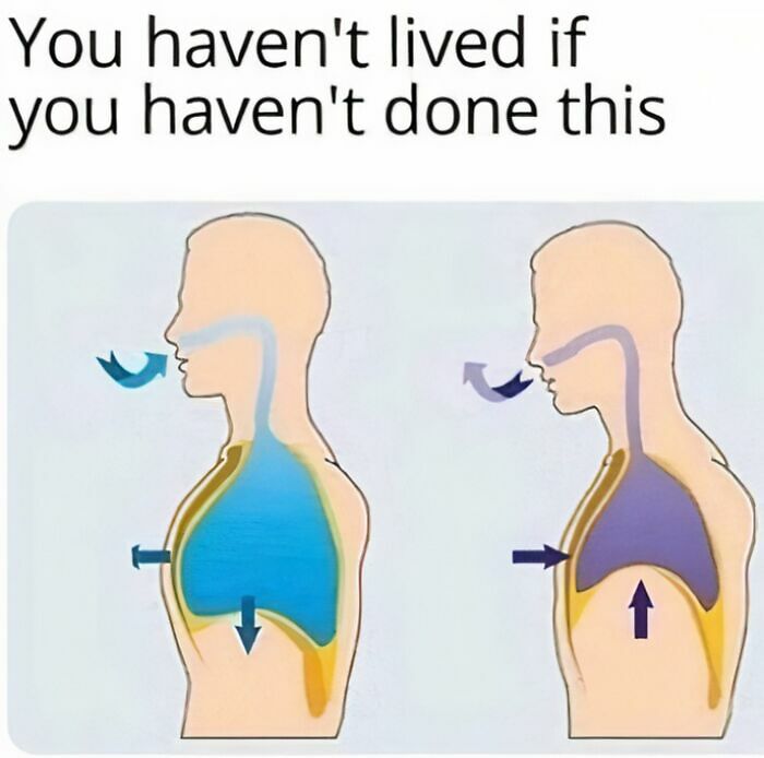 These 37 Memes Are One Of The Reasons Why People Pay For The Internet