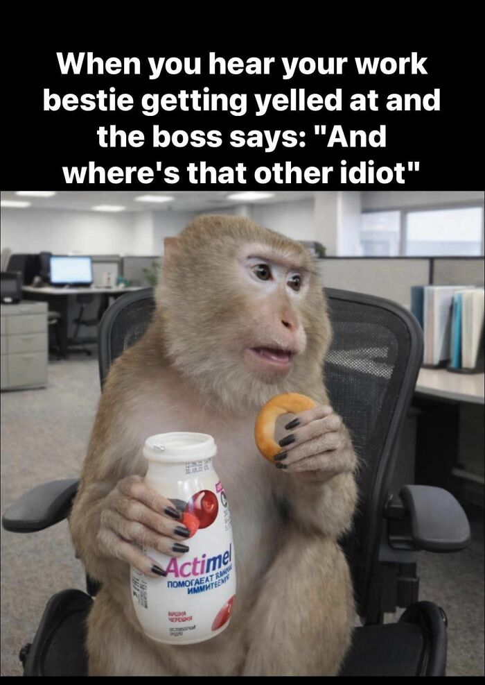 If You Have A Job And Wish You Didn&rsquo;t, These 51 Work Memes Might Amuse You
