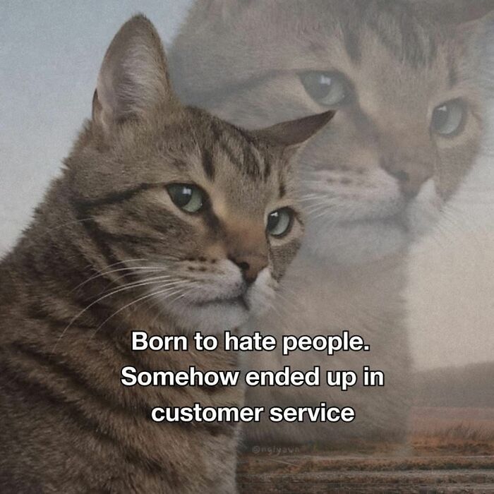 If You Have A Job And Wish You Didn&rsquo;t, These 51 Work Memes Might Amuse You