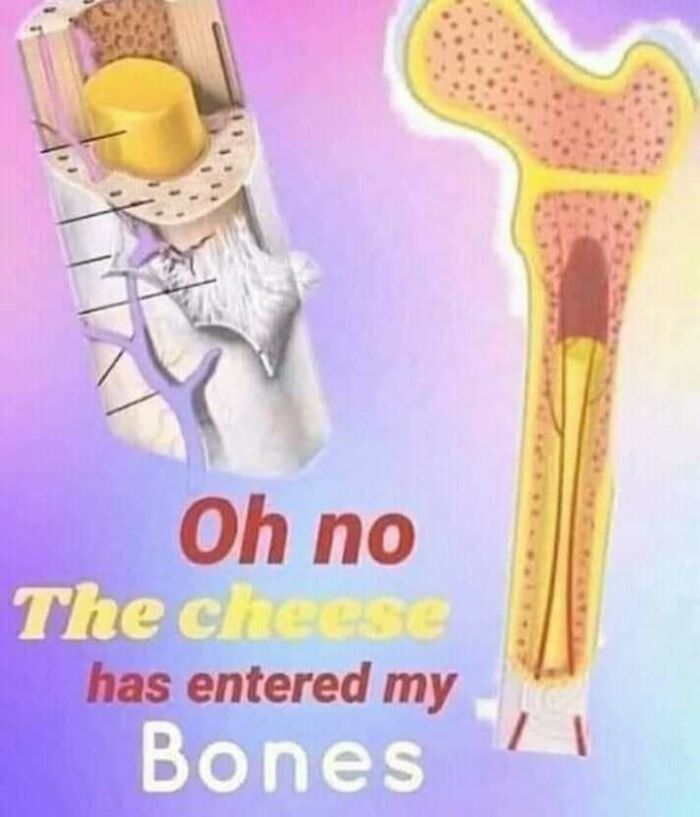 99 Confusing And Unhinged Images Where “Things Only Get Weirder” The Longer You Look (New Pics)