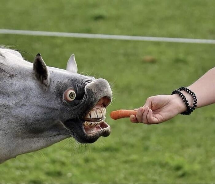 99 Confusing And Unhinged Images Where “Things Only Get Weirder” The Longer You Look (New Pics)