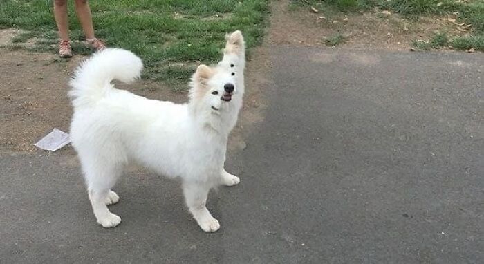 99 Confusing And Unhinged Images Where “Things Only Get Weirder” The Longer You Look (New Pics)