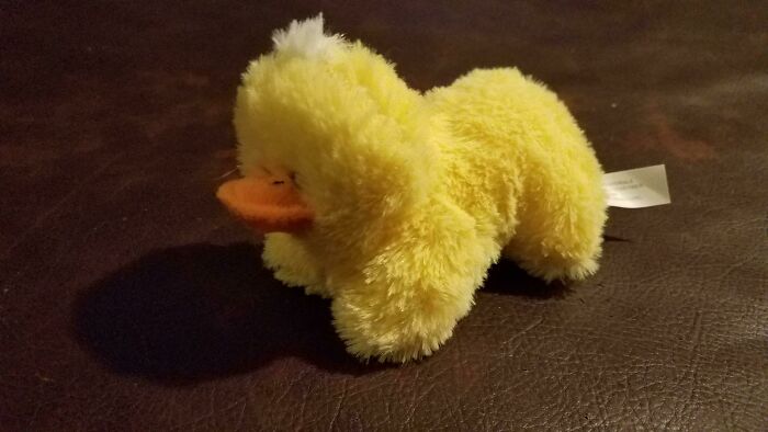 Here&rsquo;s What Happens When Designers Work Without Common Sense, In 79 Hilarious Pics