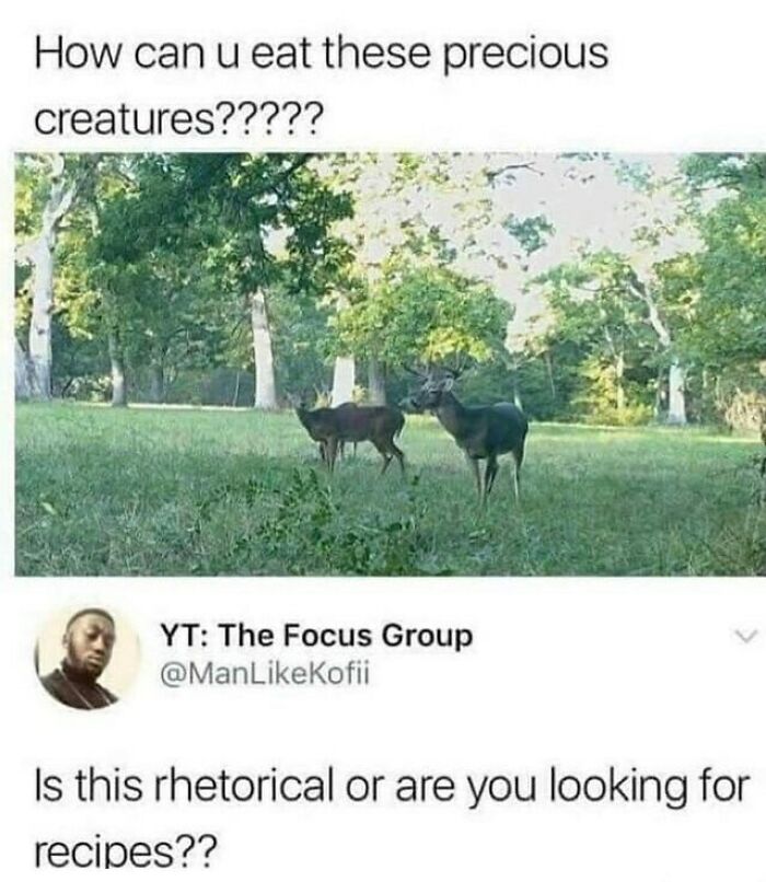 110 Camping And Hiking Memes To Help You Get In Touch With Nature