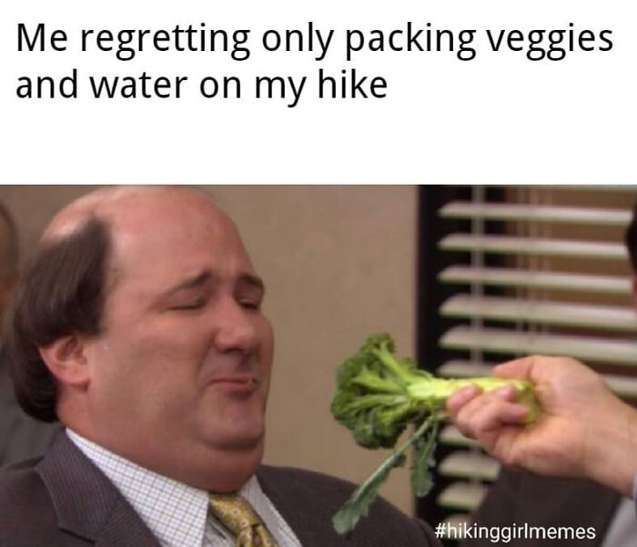 110 Camping And Hiking Memes To Help You Get In Touch With Nature
