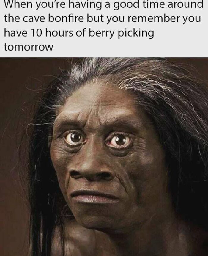 110 Camping And Hiking Memes To Help You Get In Touch With Nature