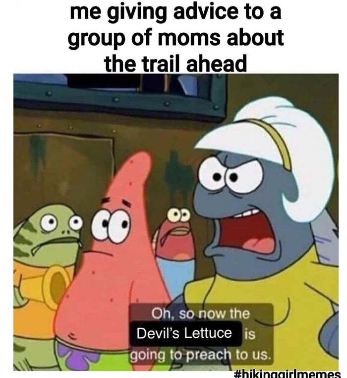 110 Camping And Hiking Memes To Help You Get In Touch With Nature