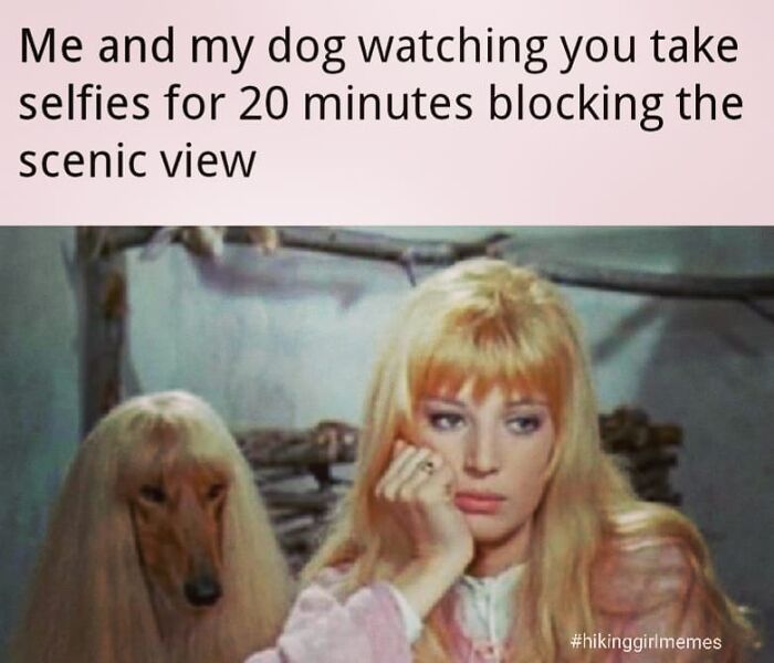 110 Camping And Hiking Memes To Help You Get In Touch With Nature