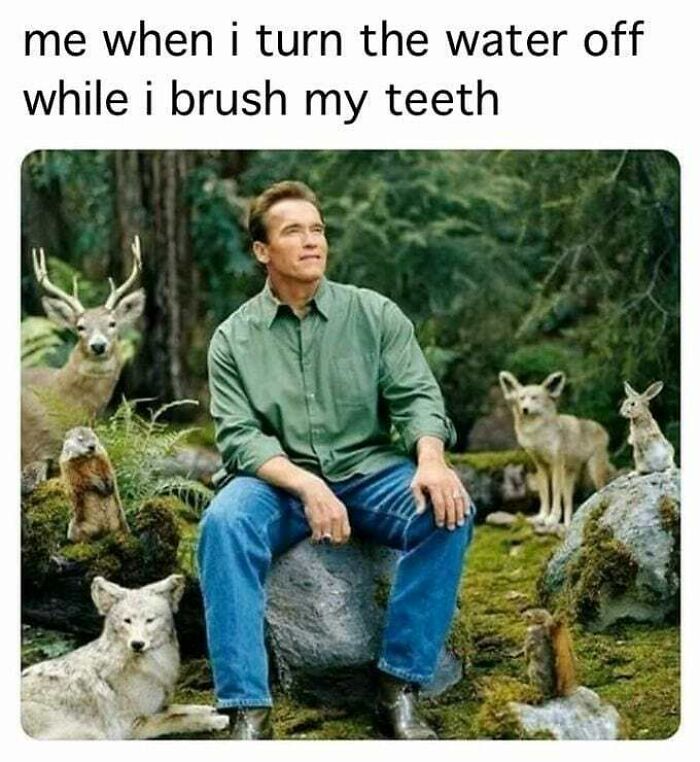 110 Camping And Hiking Memes To Help You Get In Touch With Nature