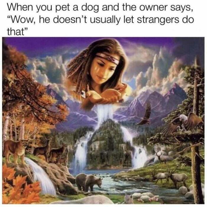 110 Camping And Hiking Memes To Help You Get In Touch With Nature