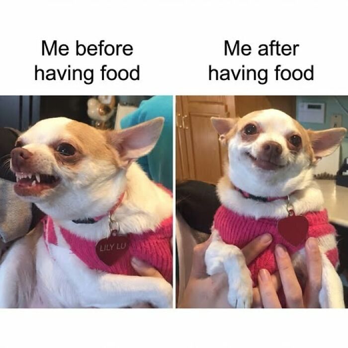 45 Food Memes That Also Come With A Healthy Serving Of Quick Chuckles