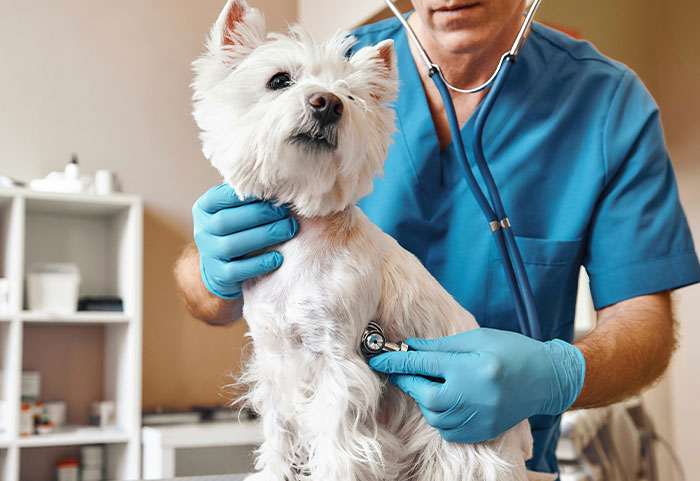 &ldquo;I Knew Something Was Wrong&rdquo;: 45 Times People Gut Warned Them About Something Horrible