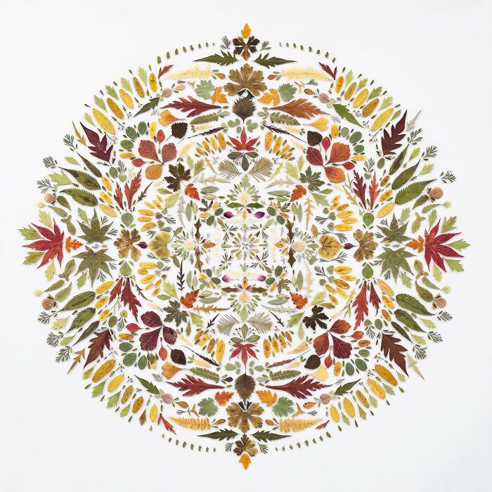 This Artist Embroiders Leaves And Plants, Turning Them Into Mesmerizing Botanical Sculptures (30 Pics)
