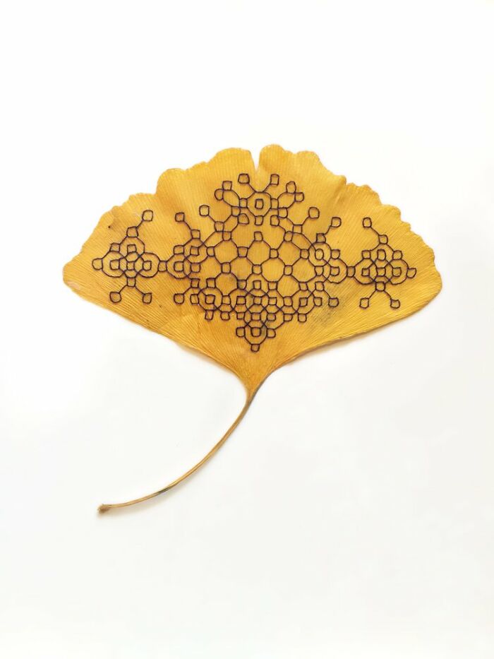 This Artist Embroiders Leaves And Plants, Turning Them Into Mesmerizing Botanical Sculptures (30 Pics)