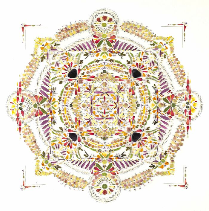 This Artist Embroiders Leaves And Plants, Turning Them Into Mesmerizing Botanical Sculptures (30 Pics)