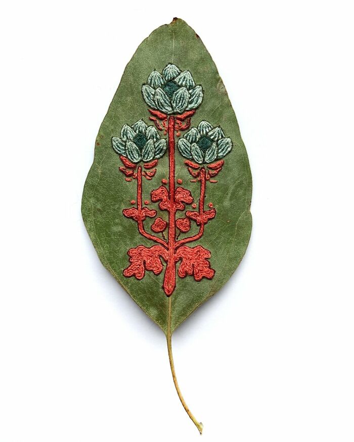 This Artist Embroiders Leaves And Plants, Turning Them Into Mesmerizing Botanical Sculptures (30 Pics)