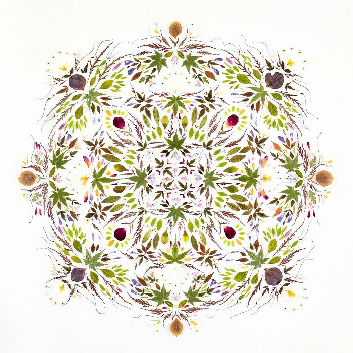 This Artist Embroiders Leaves And Plants, Turning Them Into Mesmerizing Botanical Sculptures (30 Pics)