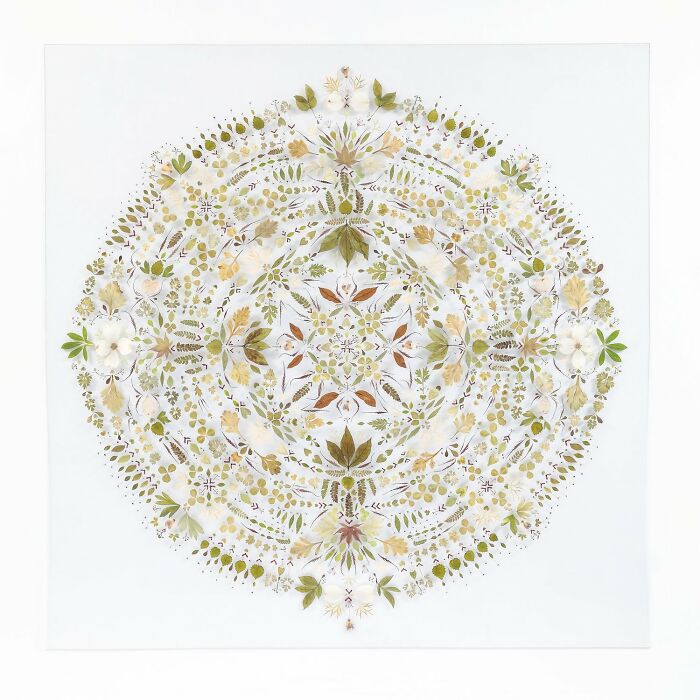 This Artist Embroiders Leaves And Plants, Turning Them Into Mesmerizing Botanical Sculptures (30 Pics)