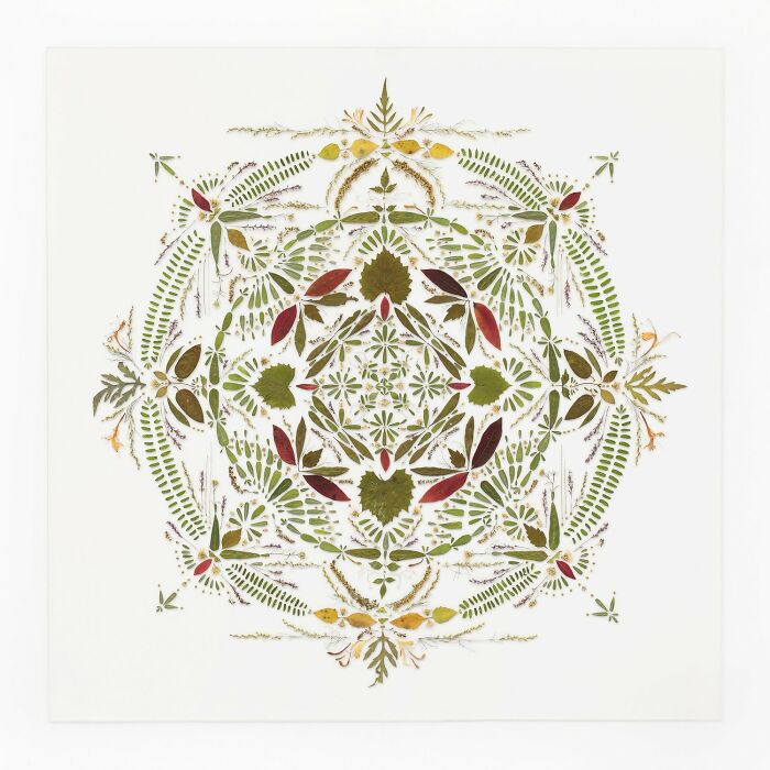 This Artist Embroiders Leaves And Plants, Turning Them Into Mesmerizing Botanical Sculptures (30 Pics)