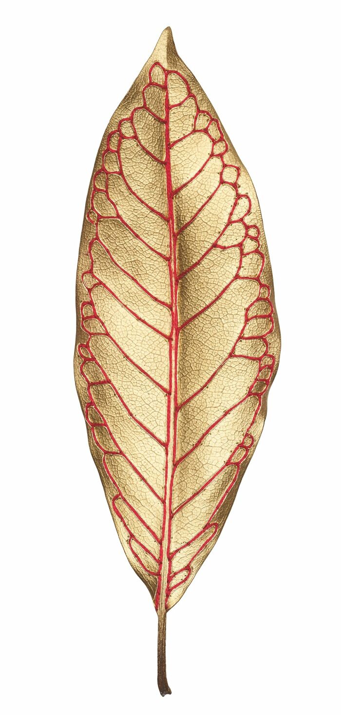 This Artist Embroiders Leaves And Plants, Turning Them Into Mesmerizing Botanical Sculptures (30 Pics)
