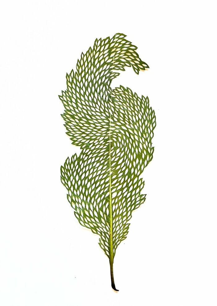 This Artist Embroiders Leaves And Plants, Turning Them Into Mesmerizing Botanical Sculptures (30 Pics)