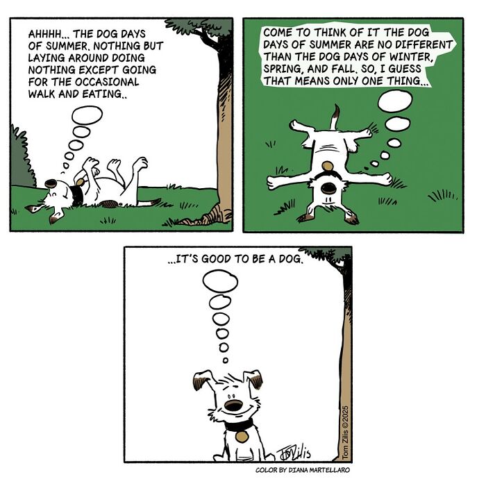 45 Funny Comics With Unexpected Twists That Just Might Make Your Day (New Pics)