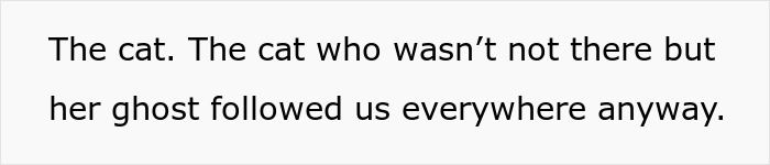 Crazy Cat Lady Wants K-Drama Romance, But Chooses Her Cat Over Men, Then Wonders Why They Leave