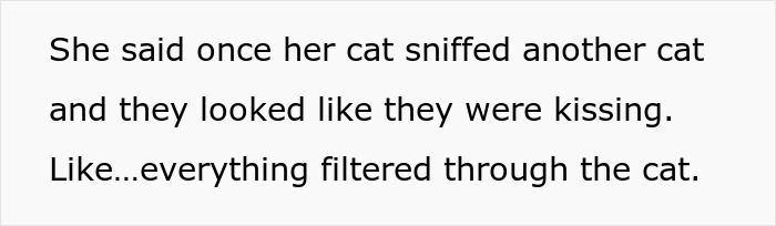 Crazy Cat Lady Wants K-Drama Romance, But Chooses Her Cat Over Men, Then Wonders Why They Leave