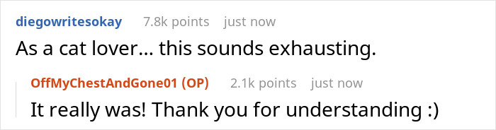 Crazy Cat Lady Wants K-Drama Romance, But Chooses Her Cat Over Men, Then Wonders Why They Leave