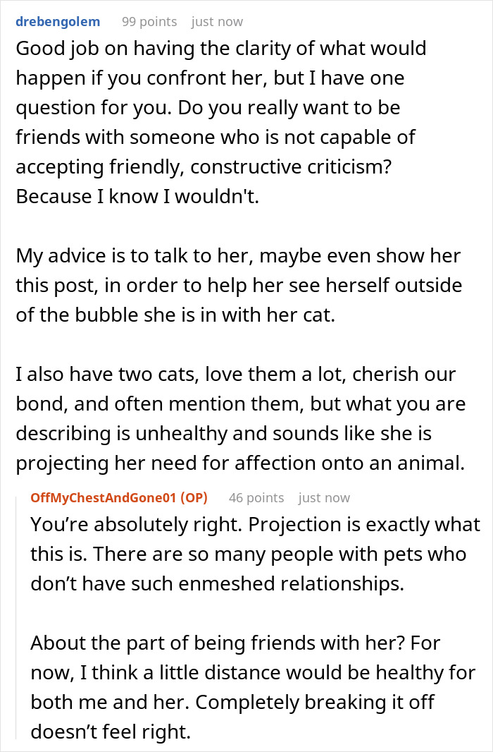 Crazy Cat Lady Wants K-Drama Romance, But Chooses Her Cat Over Men, Then Wonders Why They Leave