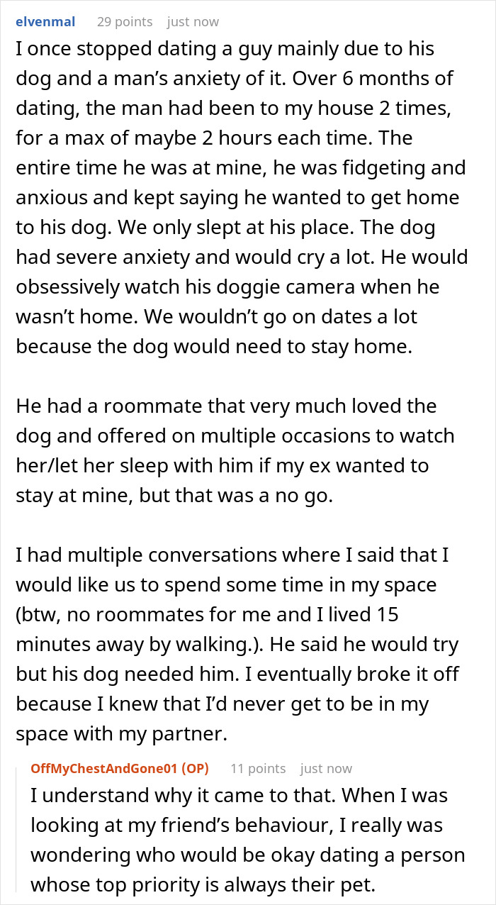 Crazy Cat Lady Wants K-Drama Romance, But Chooses Her Cat Over Men, Then Wonders Why They Leave