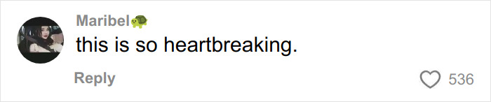 Final Haunting Post Of Glamorous Triathlete Emerges After Texas Ironman Tragedy