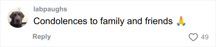 Final Haunting Post Of Glamorous Triathlete Emerges After Texas Ironman Tragedy