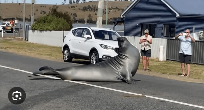75 Iconic Animal Photos From All Over The World