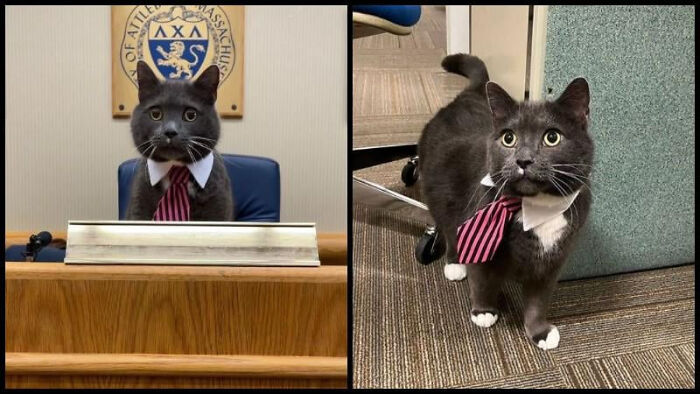 75 Iconic Animal Photos From All Over The World