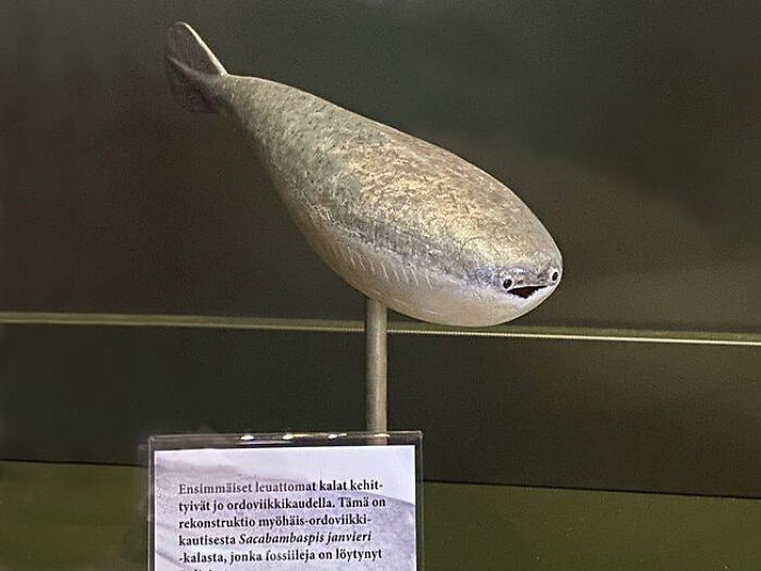 75 Iconic Animal Photos From All Over The World