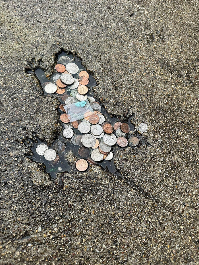 75 Iconic Animal Photos From All Over The World