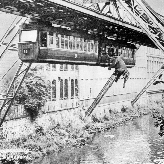 75 Iconic Animal Photos From All Over The World