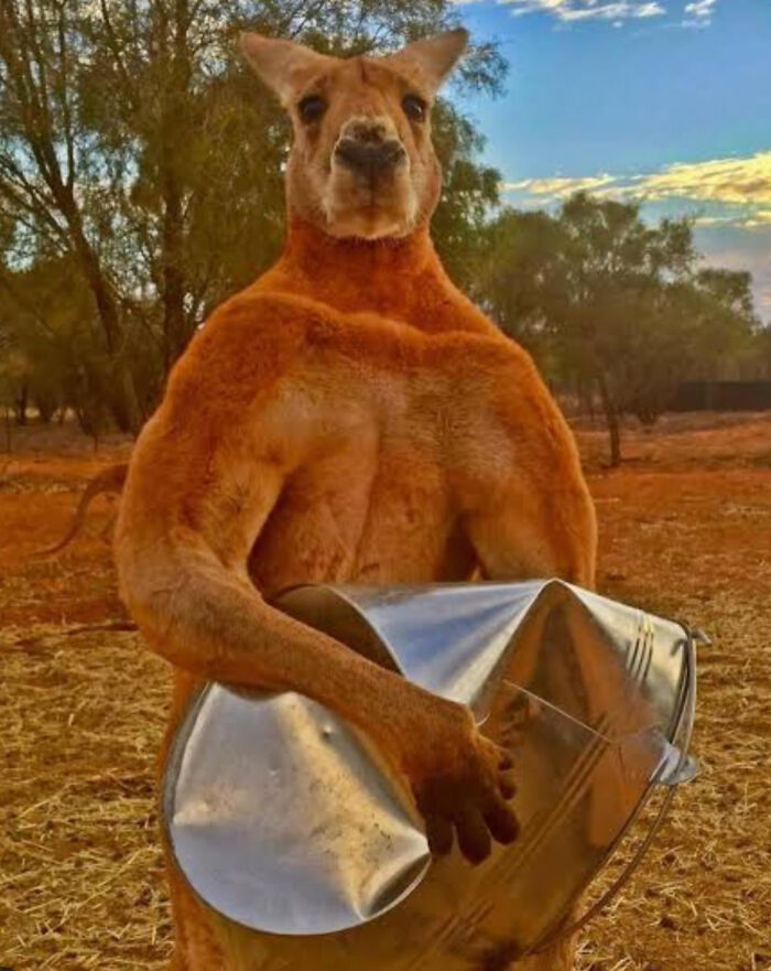 75 Iconic Animal Photos From All Over The World