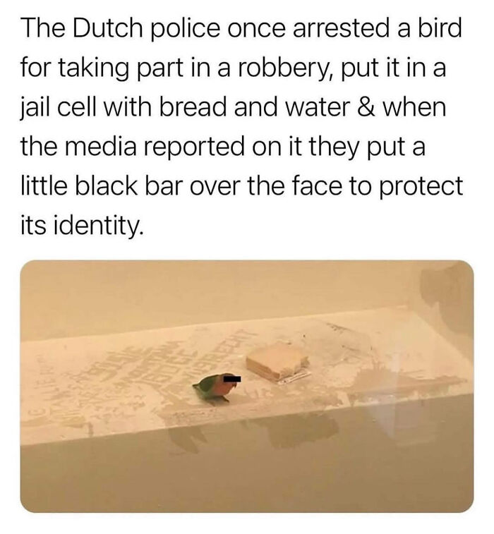 75 Iconic Animal Photos From All Over The World