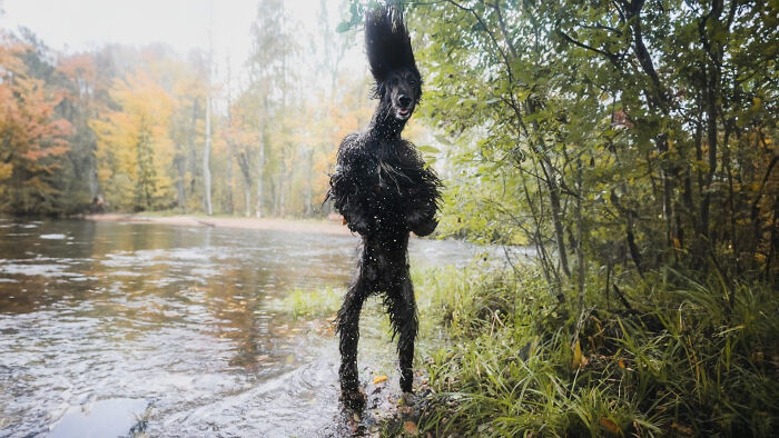 75 Iconic Animal Photos From All Over The World